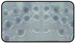 Thin-Wall Complex Fresnel Lens Arrays of Different Focal Length